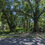 Additional Photo of Lot For Sale at 0 McCaskill Avenue, Tallahassee, Florida 32310