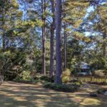 Photo of 977 Watersview Dr., Tallahassee, FL 32311 - Back Yard